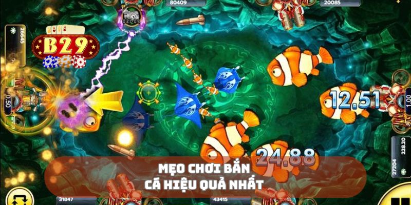 Mẹo chơi bắn cá hiệu quả nhất